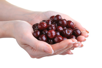 Cherry in hands isolated
