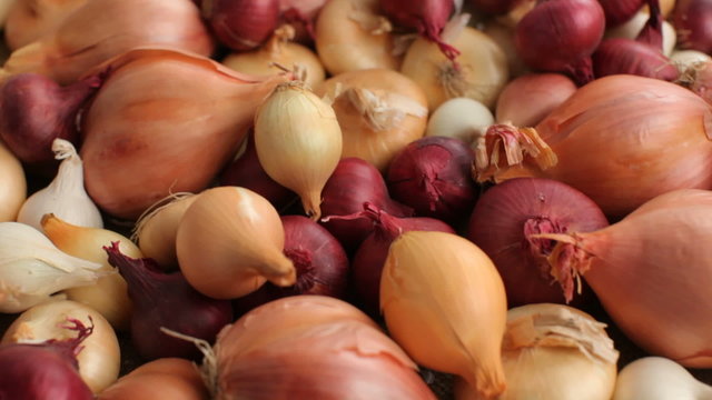 Fly over background of onions and shallots