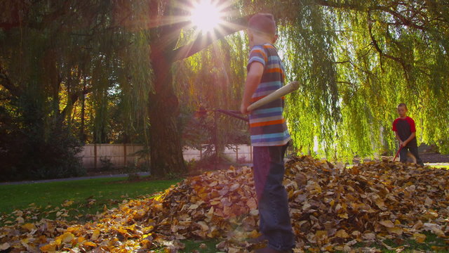 Young boys raking fall leaves. 