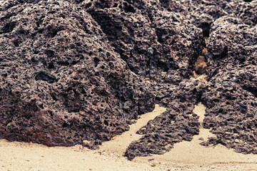 Rocks on a Shore