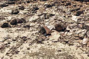 Rocks on a Shore