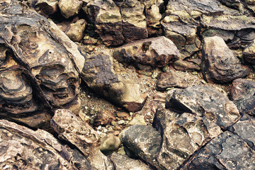 Rock Texture