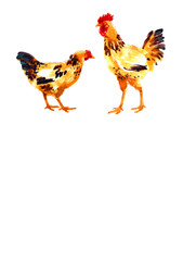 Design template with watercolor hens