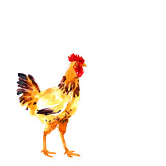 Design template with watercolor hens