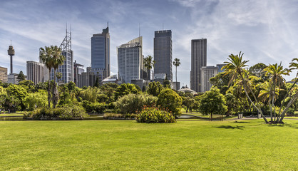Panorama im Botanischen Garten Sydney © Benjamin ['O°] Zweig