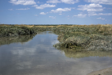 Obraz premium Marais