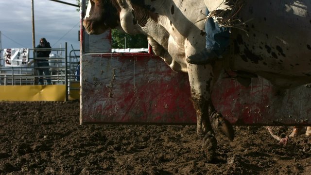 Bull riding, slow motion