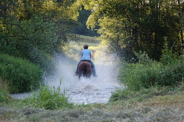 Wildwasser
