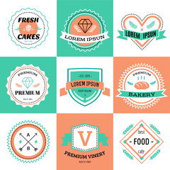 Vector vintage logo design elements. Vintage retro style. Arrows