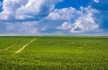 Weites Feld in der Uckermark bei Zollchow (Unteruckersee)