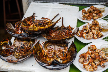 horseshoe crab