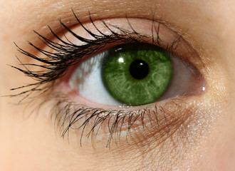 Close up green eye with makeup  - Powered by Adobe