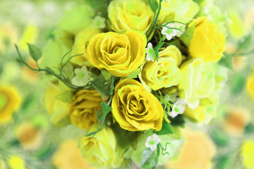 Best of Flower, Backgrounds & Textures