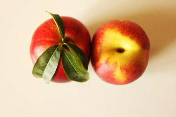 nectarines