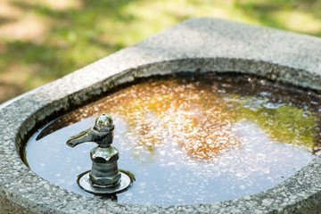 Fototapete bei efototapeten.de bestellen   