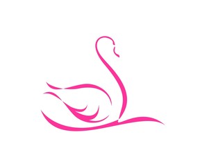 Pink Swan