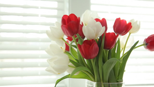 Vase of tulips