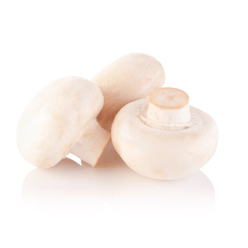 Champignon Isolated on White Background