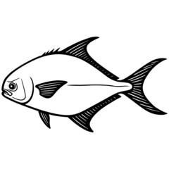 Pompano Fish Illustration