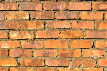 Fototapeta premium Red brick wall