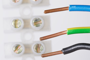 Elektrokabel vor einer Lüsterklemme