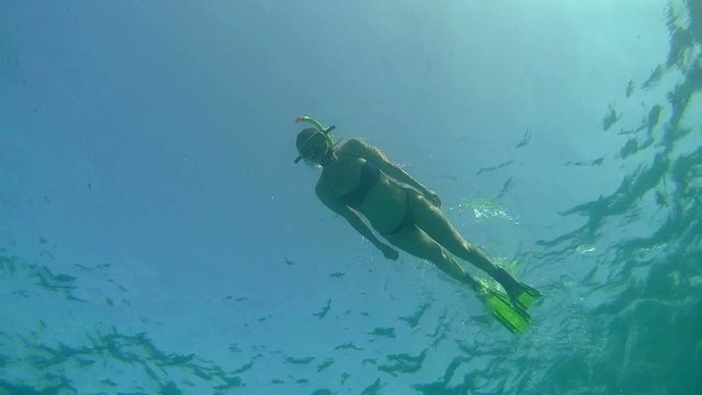 The woman floating on the surface of the blue water, snorkeling 
