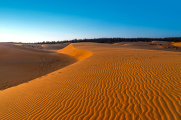 Fototapeta na wymiar Orange sand dunes in desert and blue sky