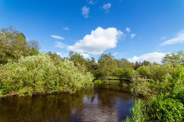 Fototapeta na wymiar лесной ручей с мостом летом