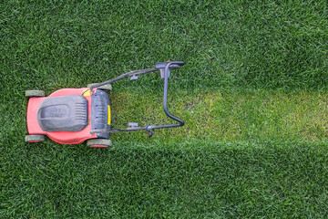 Grass cutter at the lawn