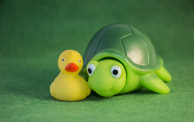 Duck and turtle happy best friends