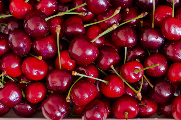 Sweet red cherry background