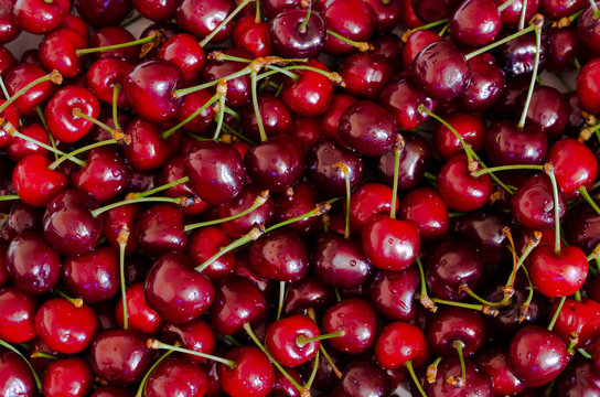 Sweet red cherry background