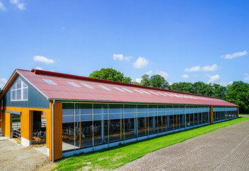 Landwirtschaft - moderner Milchviehstall vor blauem Himmel