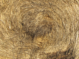 Detail of bale of hay