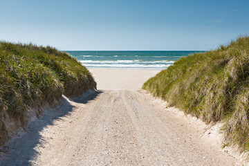 Fototapeta na wymiar Weg zum Strand ans Meer dürch die Dünen
