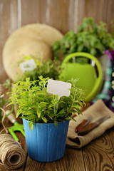 Herbs and gardening tools