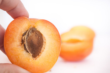 Ripe Apricots 