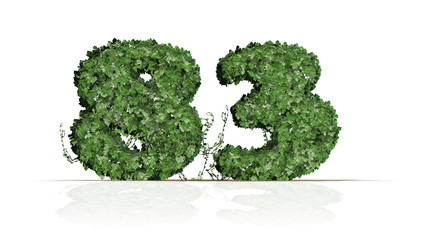 Number 83 from green ivy leaves - Isolated on white background