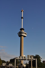 Naklejka premium Rotterdam Euromast