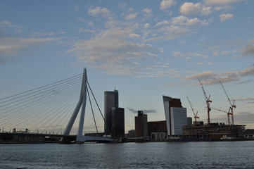 Obraz premium Rotterdam Abend Erasmus bridge
