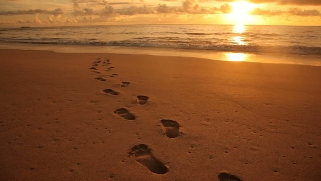 Footprints in the sand at beach