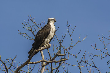 On Watch