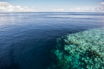 Coral Reef Drop Off and Deep Ocean