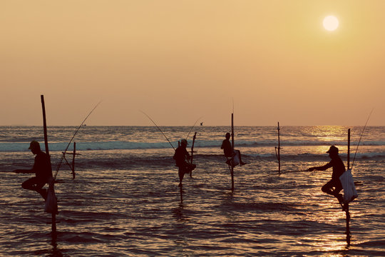 Silhouettes of the traditional stilt fishermen at sunset near Ga