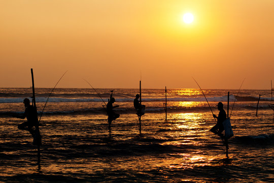 Silhouettes of the traditional stilt fishermen at sunset near Ga