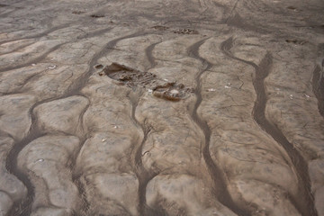 Textured dried mud from Calgary's 2013 flood disaster.