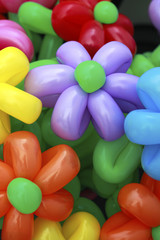 Fototapeta na wymiar balloon flowers