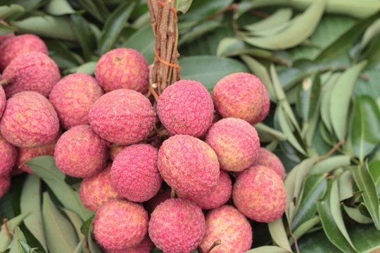 ripe lychee in the market