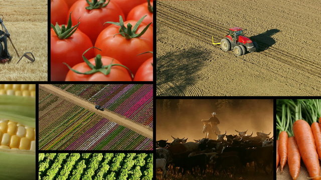 Montage of agriculture, farming and food 
