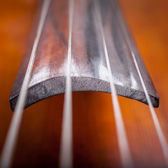 cello strings closeup © BortN66